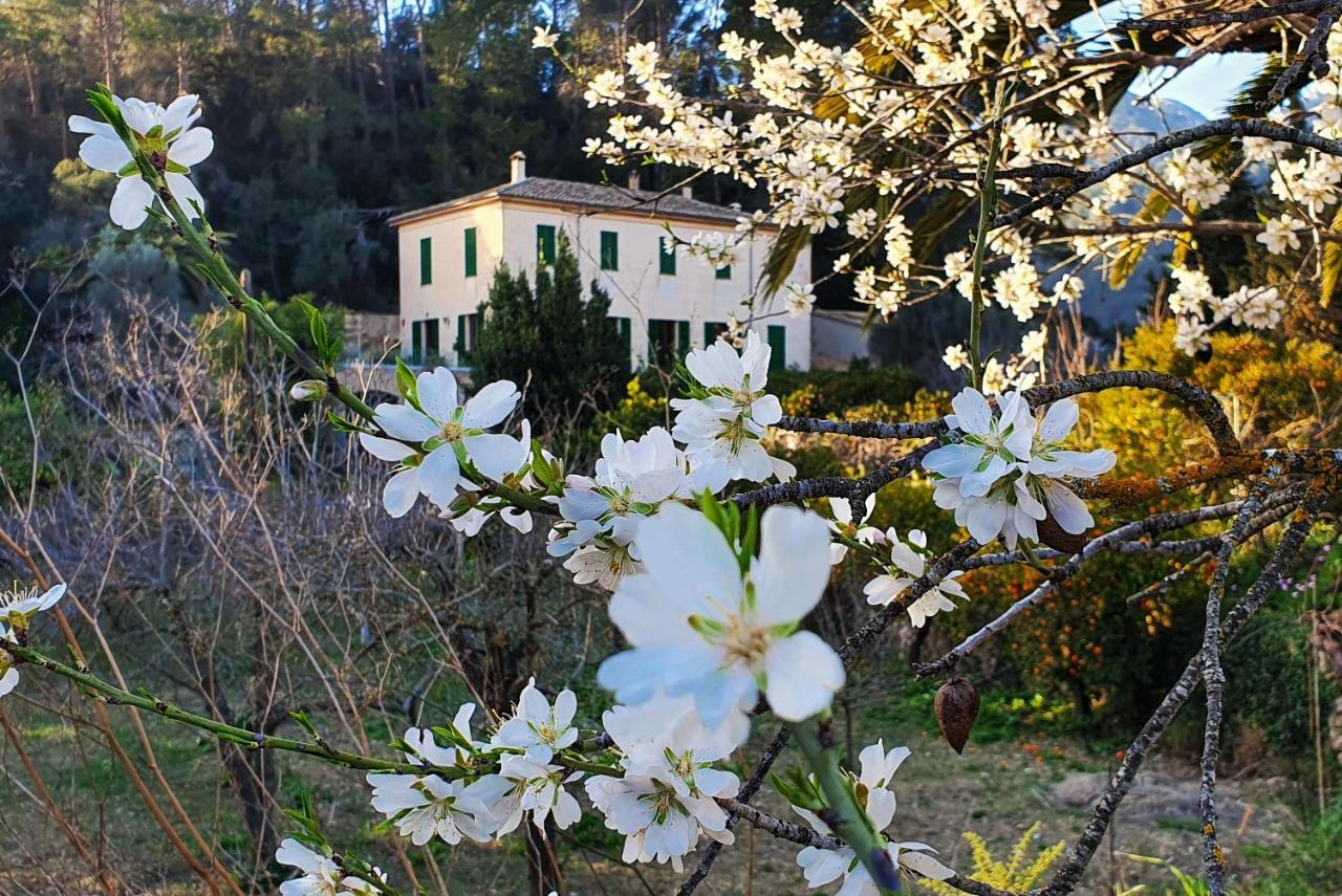 Agroturisme Finca Sa Maniga Буньола Экстерьер фото